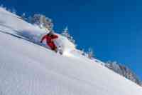 Freeride, Skitouren und Lawinenkurse