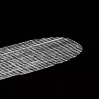 Carbon