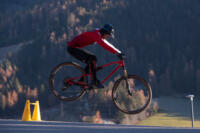 Bunny Hop