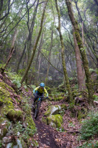 La Palma Trail Week-16