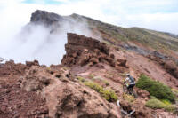 La Palma Trail Week-32