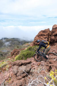 La Palma Trail Week-33