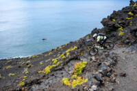 La Palma Trail Week-37