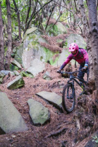 La Palma Trail Week-78